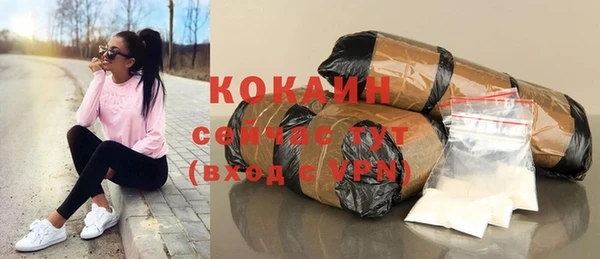 гашик Кулебаки