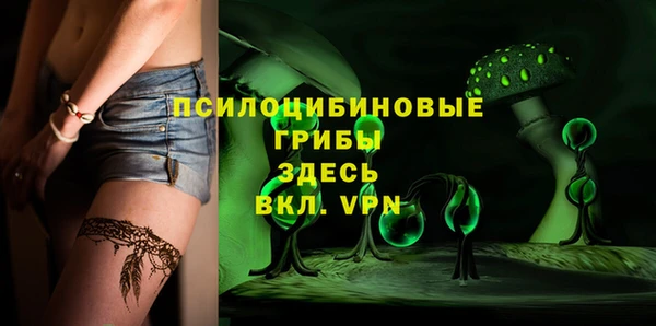 гашик Кулебаки