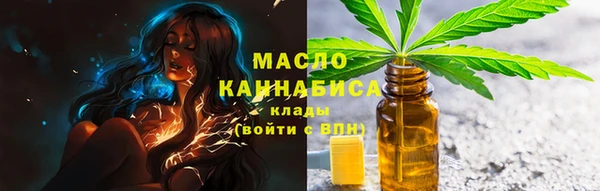 гашик Кулебаки