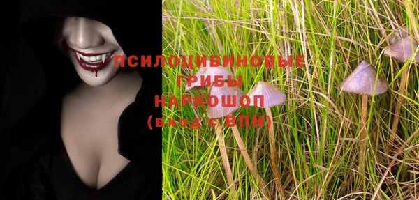 гашик Кулебаки