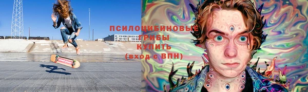 гашик Кулебаки